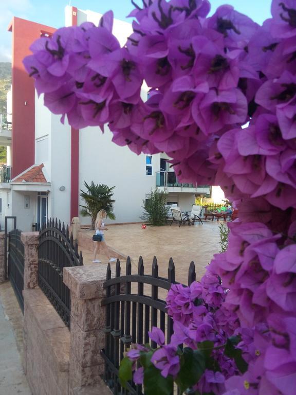 Apartments Vila A1 Dobra Voda Exterior photo